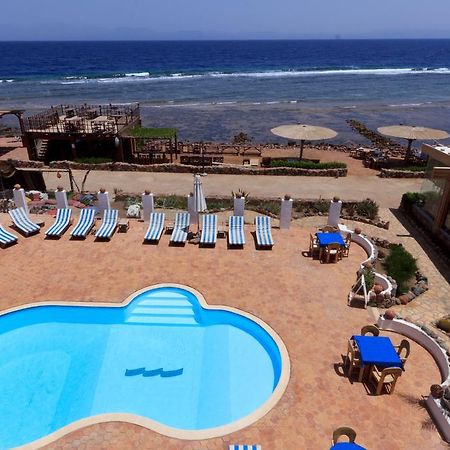 Blue Beach Club Apartment Dahab Exterior photo